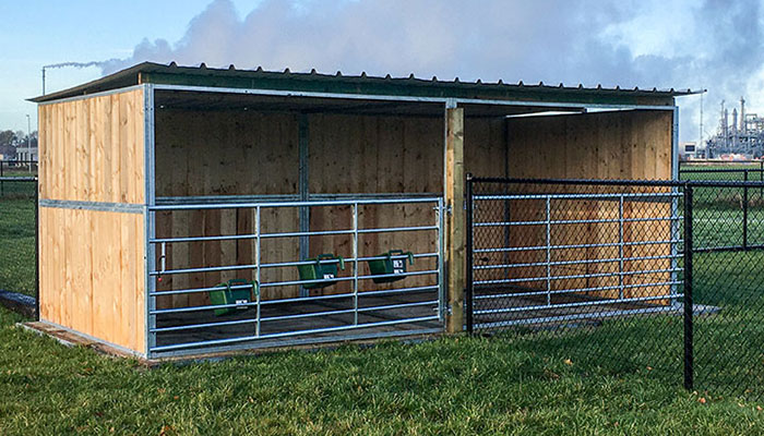 schuilstal  voor meerdere paarden voorzien met een afsluiting