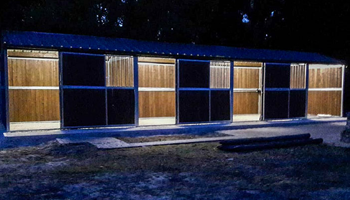 buitenbox voor meerdere paarden met verlichting