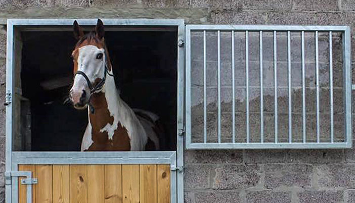 Staldeur voor paardenstal