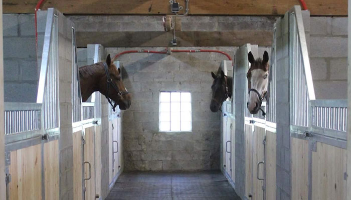 binnenstal paardenstal voormeerdere paarden
