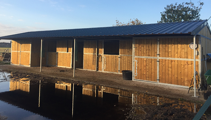 buitenbox voor meerdere paarden met opslagplaats
