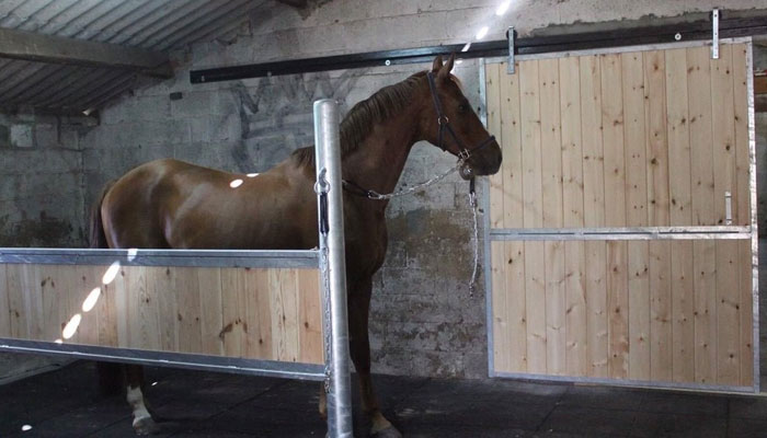 Paardenstal poetsplaats